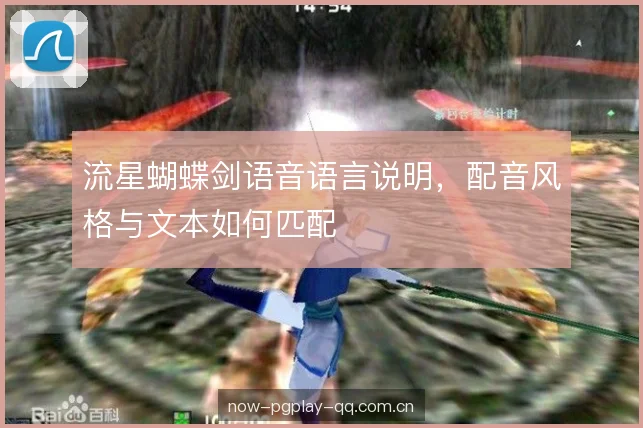 流星蝴蝶剑语音语言说明，配音风格与文本如何匹配